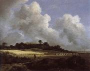 Jacob van Ruisdael View of Grainfields with a Distant town oil painting